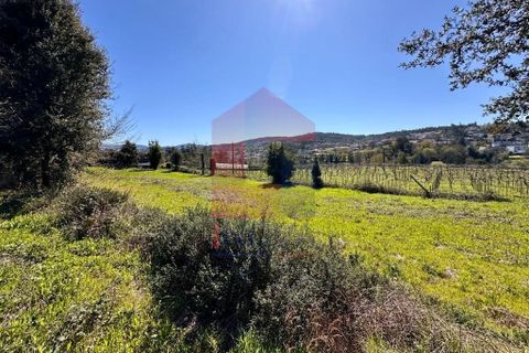 Byhus i Vila Verde, Braga, Vila Verde - € 295.000 | Ref: 08825 - foto 39