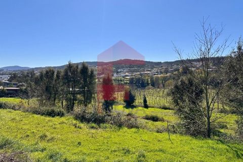 Byhus i Vila Verde, Braga, Vila Verde - € 295.000 | Ref: 08825 - foto 44