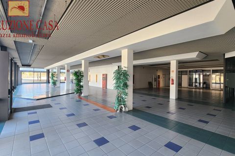 Erhvervsejendom i Cormons, Gorizia, Cormons - € 680.000 | Ref: 1654 - foto 7