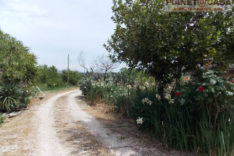 Villa a Ancarano, Teramo, Ancarano - € 159.000 | Ref: VM2784 - foto 39