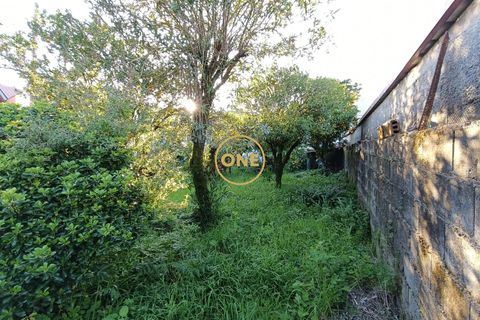 Byhus i Terras de Bouro, Braga, Terras de Bouro - € 180.000 | Ref: ONE141494-69 - foto 22