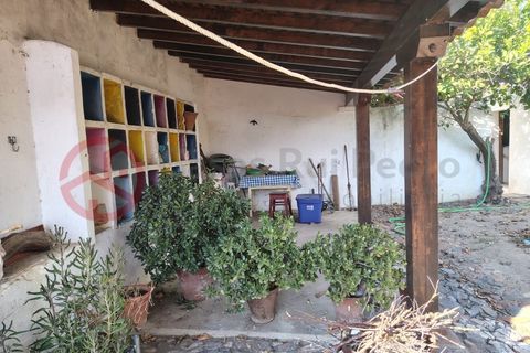 Villa i Torrao, Setubal, Torrao - € 249.000 | Ref: 4727JC4 - foto 38