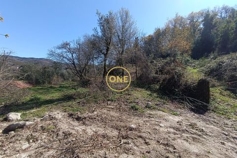 Terra a Terras de Bouro, Braga, Terras de Bouro - € 76.000 | Ref: ONE141672-11 - foto 3