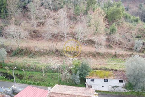 Terra a Terras de Bouro, Braga, Terras de Bouro - € 76.000 | Ref: ONE141672-11 - foto 5