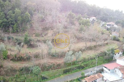 Terra a Terras de Bouro, Braga, Terras de Bouro - € 76.000 | Ref: ONE141672-11 - foto 6