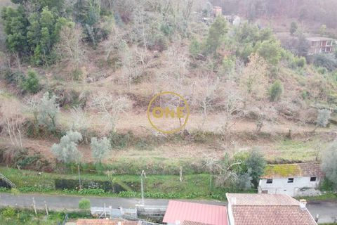 Terra a Terras de Bouro, Braga, Terras de Bouro - € 76.000 | Ref: ONE141672-11 - foto 7