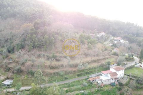 Terra a Terras de Bouro, Braga, Terras de Bouro - € 76.000 | Ref: ONE141672-11 - foto 8