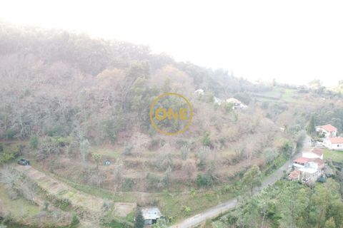 Terra a Terras de Bouro, Braga, Terras de Bouro - € 76.000 | Ref: ONE141672-11 - foto 9