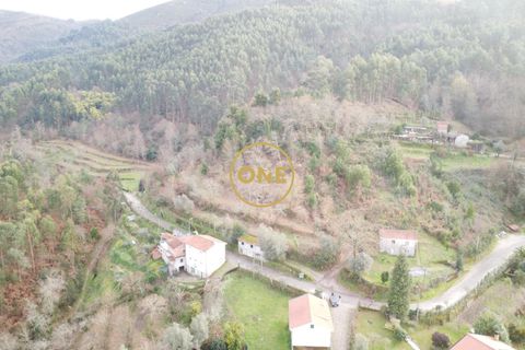 Terra a Terras de Bouro, Braga, Terras de Bouro - € 76.000 | Ref: ONE141672-11 - foto 10
