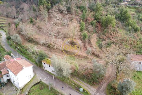 Terra a Terras de Bouro, Braga, Terras de Bouro - € 76.000 | Ref: ONE141672-11 - foto 11