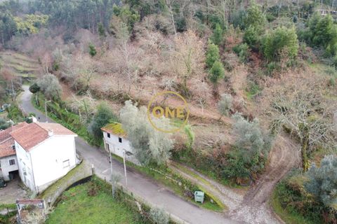 Terra a Terras de Bouro, Braga, Terras de Bouro - € 76.000 | Ref: ONE141672-11 - foto 12