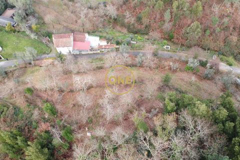 Terra a Terras de Bouro, Braga, Terras de Bouro - € 76.000 | Ref: ONE141672-11 - foto 13