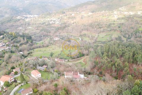 Terra a Terras de Bouro, Braga, Terras de Bouro - € 76.000 | Ref: ONE141672-11 - foto 14