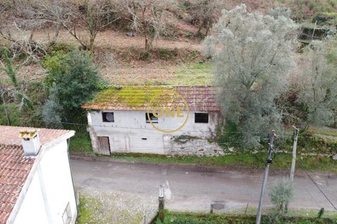 Terra a Terras de Bouro, Braga, Terras de Bouro - € 76.000 | Ref: ONE141672-11 - foto 17