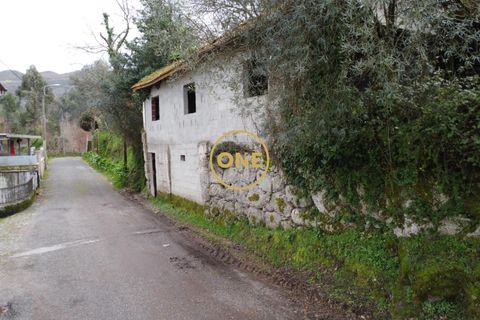 Terra a Terras de Bouro, Braga, Terras de Bouro - € 76.000 | Ref: ONE141672-11 - foto 19