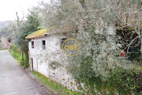 Terra a Terras de Bouro, Braga, Terras de Bouro - € 76.000 | Ref: ONE141672-11 - foto 20