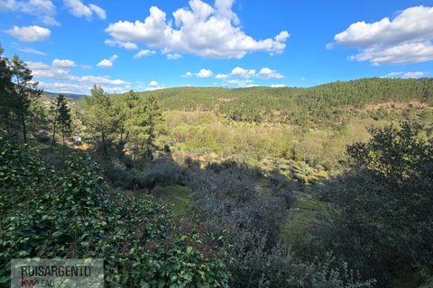 Helårsgrund i Castelo Branco, Castelo Branco, Castelo Branco - € 24.000 | Ref: SÒL_250RS150326 - foto 5