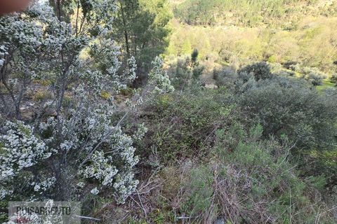 Helårsgrund i Castelo Branco, Castelo Branco, Castelo Branco - € 24.000 | Ref: SÒL_250RS150326 - foto 6