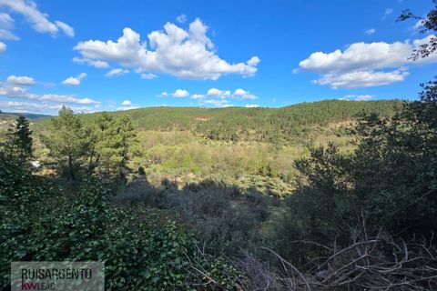 Helårsgrund i Castelo Branco, Castelo Branco, Castelo Branco - € 24.000 | Ref: SÒL_250RS150326 - foto 7