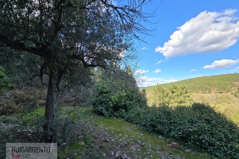 Helårsgrund i Castelo Branco, Castelo Branco, Castelo Branco - € 24.000 | Ref: SÒL_250RS150326 - foto 11