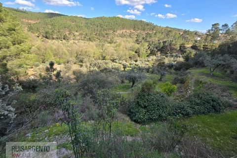 Helårsgrund i Castelo Branco, Castelo Branco, Castelo Branco - € 24.000 | Ref: SÒL_250RS150326 - foto 13