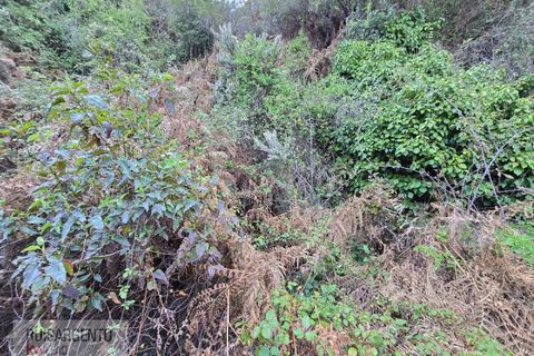 Helårsgrund i Castelo Branco, Castelo Branco, Castelo Branco - € 24.000 | Ref: SÒL_250RS150326 - foto 15