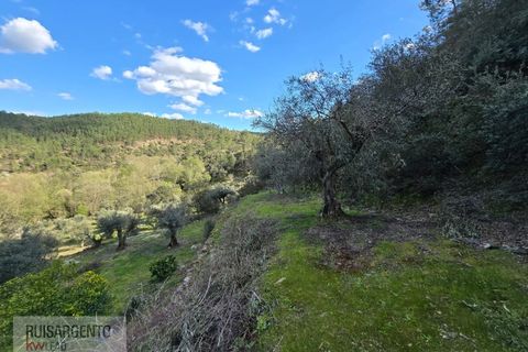 Helårsgrund i Castelo Branco, Castelo Branco, Castelo Branco - € 24.000 | Ref: SÒL_250RS150326 - foto 18