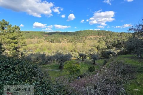 Helårsgrund i Castelo Branco, Castelo Branco, Castelo Branco - € 24.000 | Ref: SÒL_250RS150326 - foto 19