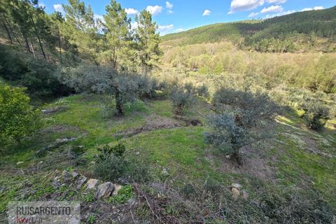 Helårsgrund i Castelo Branco, Castelo Branco, Castelo Branco - € 24.000 | Ref: SÒL_250RS150326 - foto 20