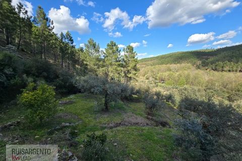 Helårsgrund i Castelo Branco, Castelo Branco, Castelo Branco - € 24.000 | Ref: SÒL_250RS150326 - foto 21