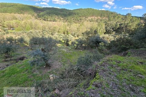 Helårsgrund i Castelo Branco, Castelo Branco, Castelo Branco - € 24.000 | Ref: SÒL_250RS150326 - foto 22