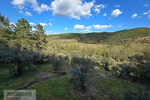 Helårsgrund i Castelo Branco, Castelo Branco, Castelo Branco - € 24.000 | Ref: SÒL_250RS150326 - foto 23