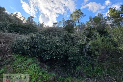 Helårsgrund i Castelo Branco, Castelo Branco, Castelo Branco - € 24.000 | Ref: SÒL_250RS150326 - foto 25