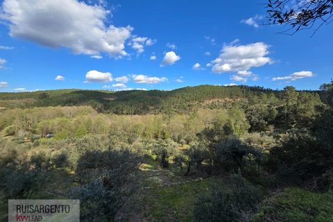 Helårsgrund i Castelo Branco, Castelo Branco, Castelo Branco - € 24.000 | Ref: SÒL_250RS150326 - foto 26