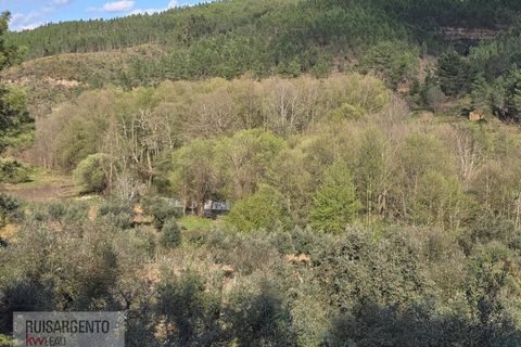 Helårsgrund i Castelo Branco, Castelo Branco, Castelo Branco - € 24.000 | Ref: SÒL_250RS150326 - foto 28