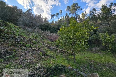 Helårsgrund i Castelo Branco, Castelo Branco, Castelo Branco - € 24.000 | Ref: SÒL_250RS150326 - foto 29
