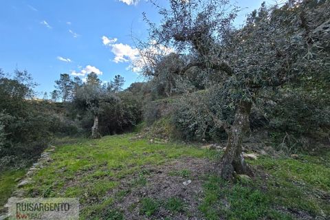 Helårsgrund i Castelo Branco, Castelo Branco, Castelo Branco - € 24.000 | Ref: SÒL_250RS150326 - foto 30