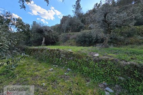Helårsgrund i Castelo Branco, Castelo Branco, Castelo Branco - € 24.000 | Ref: SÒL_250RS150326 - foto 35