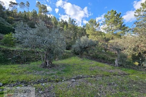Helårsgrund i Castelo Branco, Castelo Branco, Castelo Branco - € 24.000 | Ref: SÒL_250RS150326 - foto 36