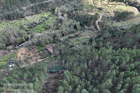 Helårsgrund i Castelo Branco, Castelo Branco, Castelo Branco - € 24.000 | Ref: SÒL_250RS150326 - foto 38