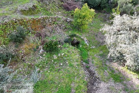 Helårsgrund i Castelo Branco, Castelo Branco, Castelo Branco - € 24.000 | Ref: SÒL_250RS150326 - foto 40