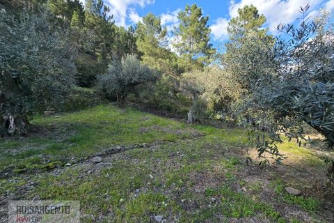 Helårsgrund i Castelo Branco, Castelo Branco, Castelo Branco - € 24.000 | Ref: SÒL_250RS150326 - foto 41