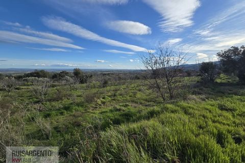 Terra a Alpedrinha, Castelo Branco, Alpedrinha - € 55.000 | Ref: SÒL_249RS140326 - foto 3