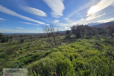 Terra a Alpedrinha, Castelo Branco, Alpedrinha - € 55.000 | Ref: SÒL_249RS140326 - foto 8