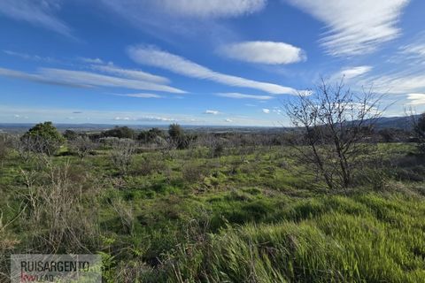 Terra a Alpedrinha, Castelo Branco, Alpedrinha - € 55.000 | Ref: SÒL_249RS140326 - foto 9