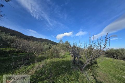 Terra a Alpedrinha, Castelo Branco, Alpedrinha - € 55.000 | Ref: SÒL_249RS140326 - foto 10