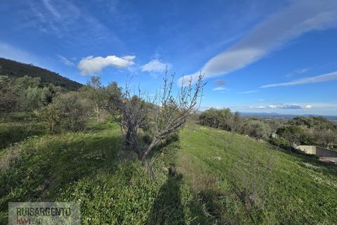 Terra a Alpedrinha, Castelo Branco, Alpedrinha - € 55.000 | Ref: SÒL_249RS140326 - foto 14