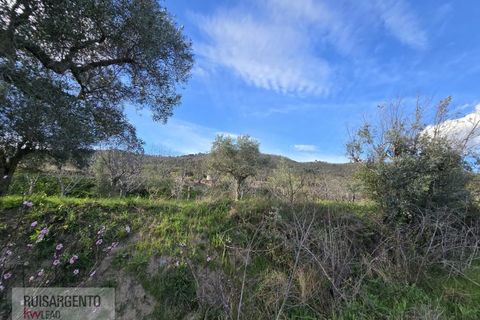 Terra a Alpedrinha, Castelo Branco, Alpedrinha - € 55.000 | Ref: SÒL_249RS140326 - foto 15