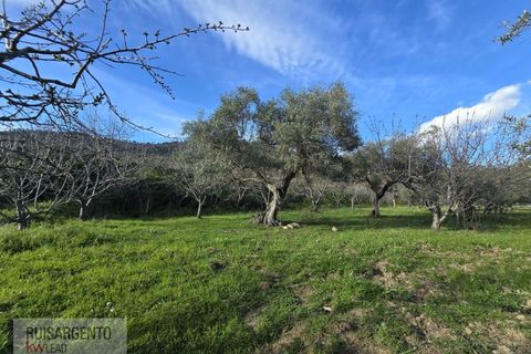Terra a Alpedrinha, Castelo Branco, Alpedrinha - € 55.000 | Ref: SÒL_249RS140326 - foto 18