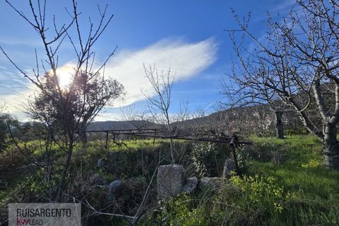 Terra a Alpedrinha, Castelo Branco, Alpedrinha - € 55.000 | Ref: SÒL_249RS140326 - foto 20